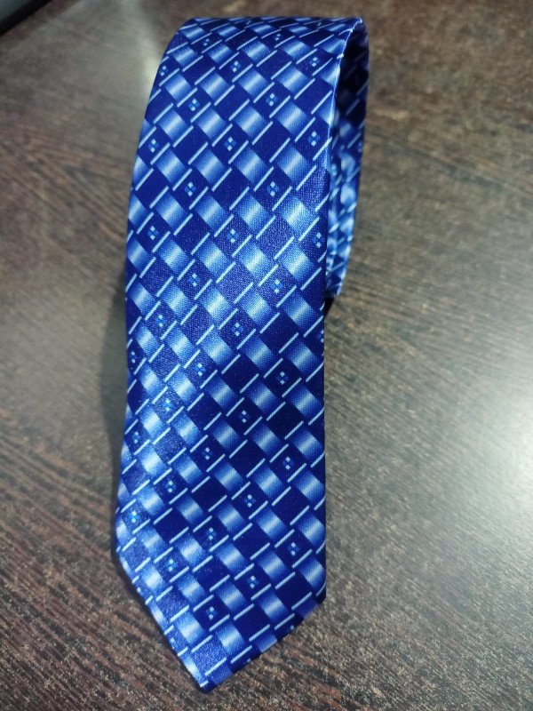 Blue50 blue checks printed Tie